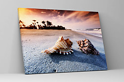 Obraz Spomienky na more zs1113